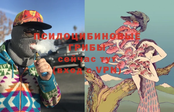 герыч Алзамай
