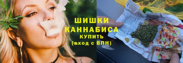 ГАЛЛЮЦИНОГЕННЫЕ ГРИБЫ Алексин