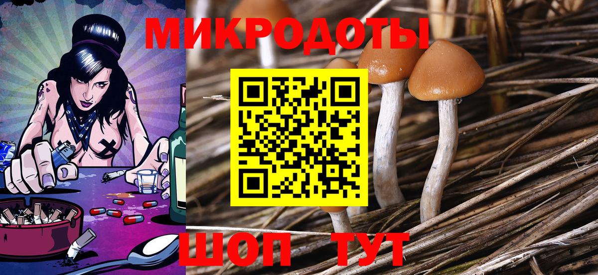 Псилоцибиновые грибы прущие грибы Магадан